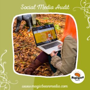 Social Media Audit by Magic Bean Media